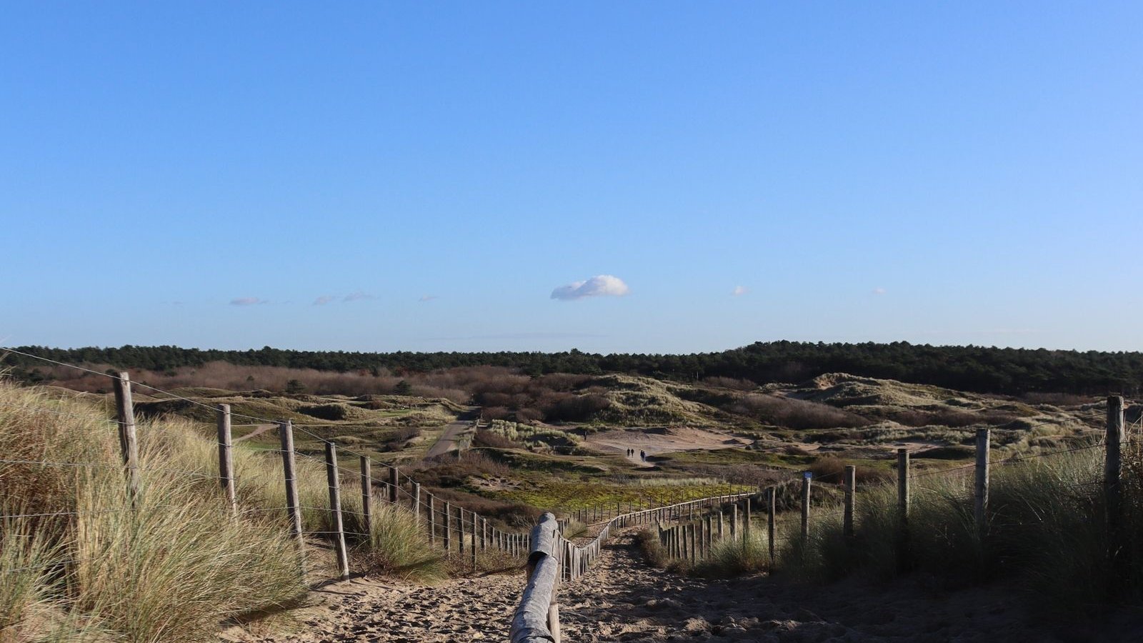Sandiger Wanderpfad mit Holzgeländer durch die Dünenlandschaft der niederländischen Küste